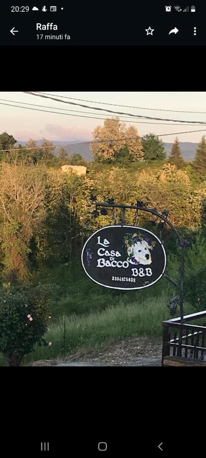 La Casa Di Bacco B&B Lerma エクステリア 写真