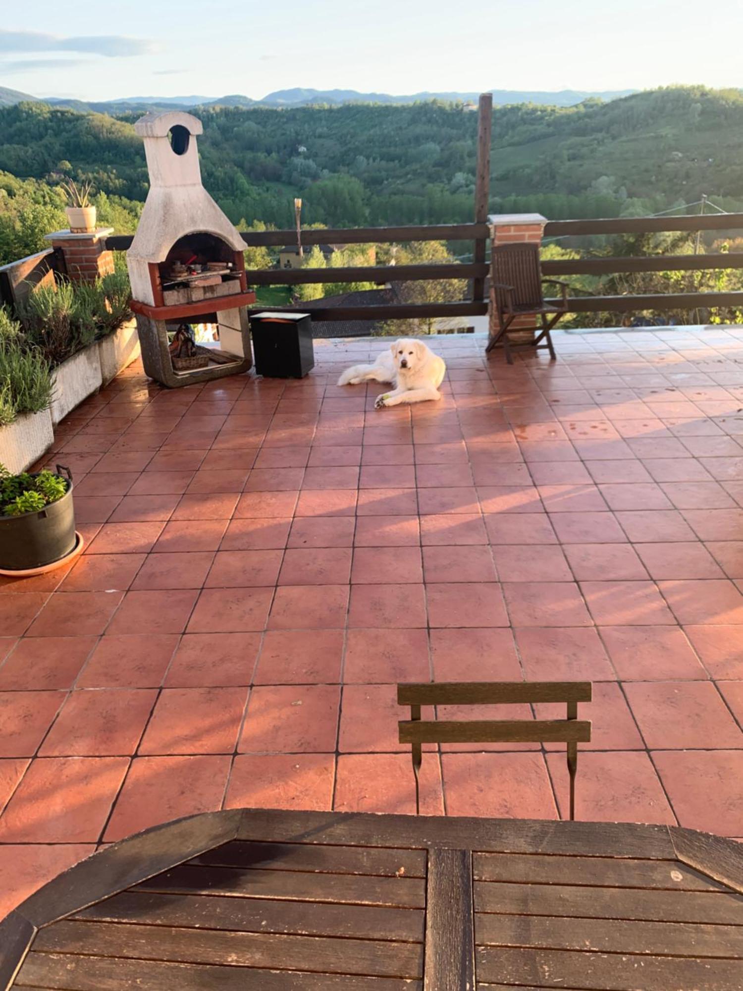 La Casa Di Bacco B&B Lerma エクステリア 写真